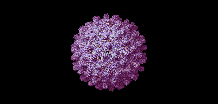 核酸检测原理是抗原抗体检测吗,核酸检测dna还是rna