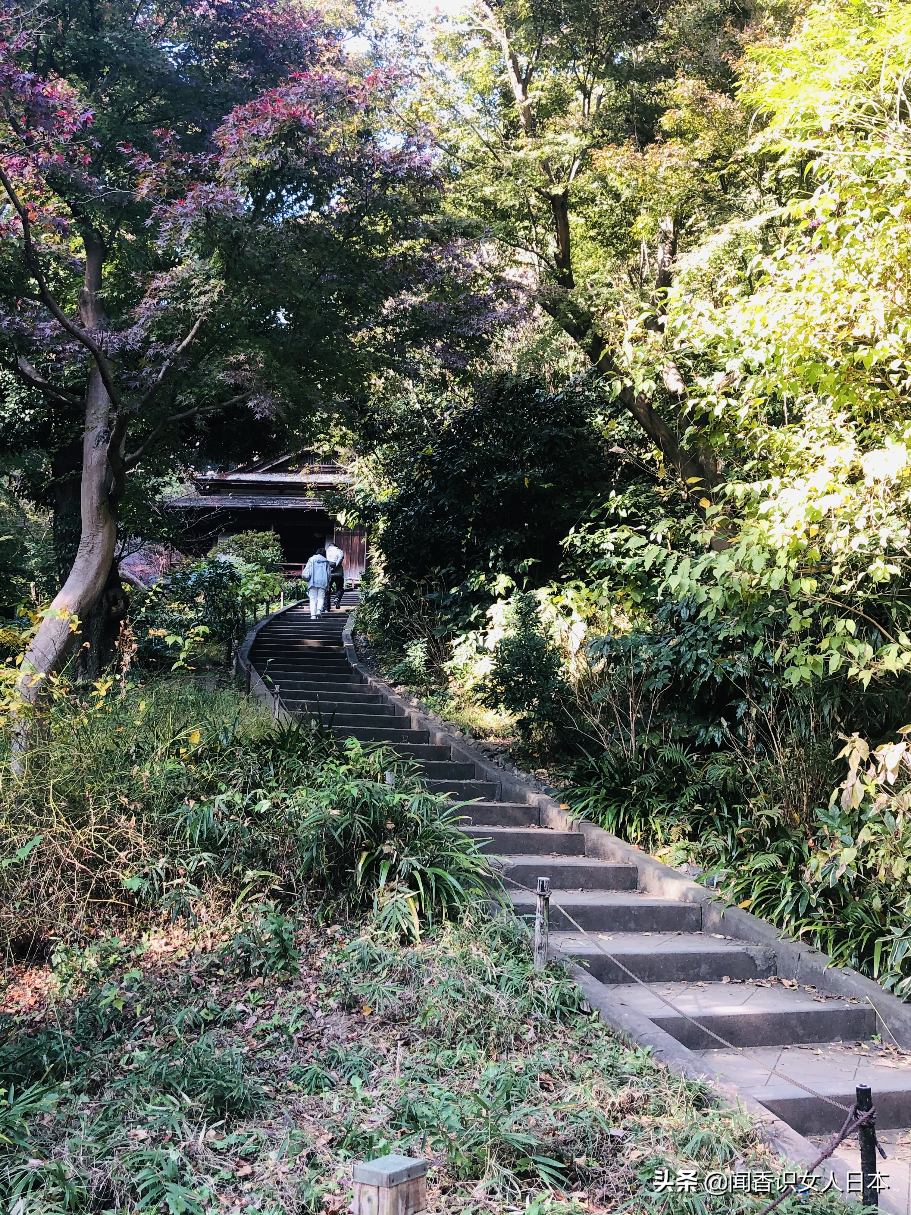 横滨三溪园,横滨三溪园介绍
