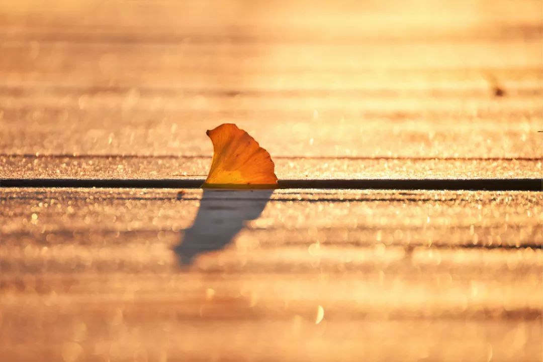 为什么自大的人更容易成功,自大自负的人有什么后果