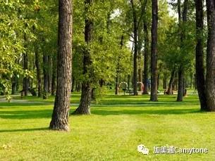 40涓悊鐢辫浣犵埍涓婂姞鎷垮ぇ鍗″皵鍔犻噷,鍘诲姞鎷垮ぇ鍗″皵鍔犻噷鏀荤暐