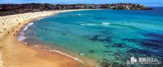悉尼邦迪海滩,悉尼邦迪海滩新闻