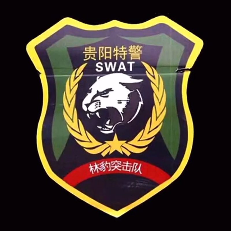全国各个城市特警队臂章,公安特警帅图