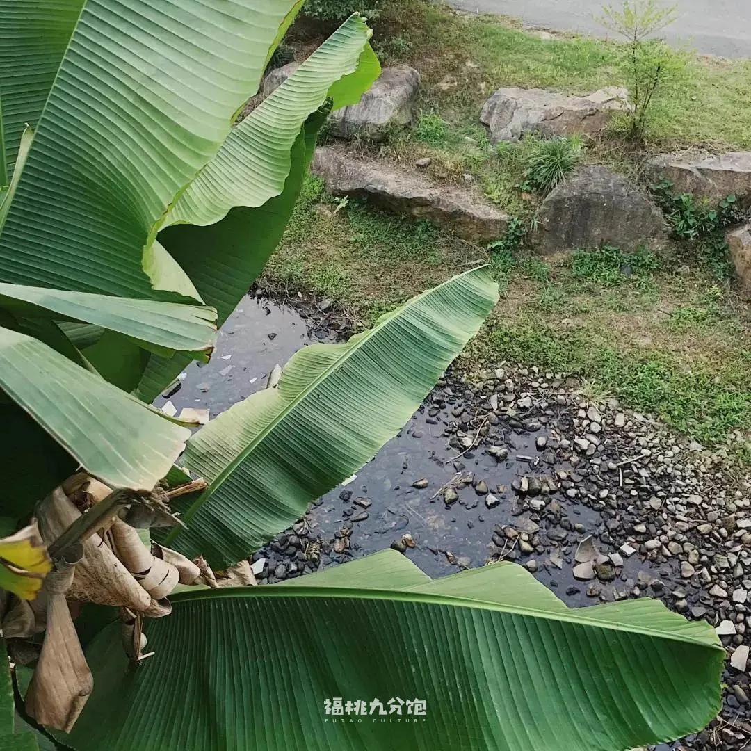 王宝强吃面道士下山,道士下山吃面图片