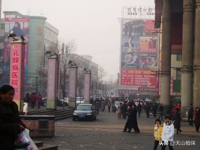 迪丽热巴古力娜扎见过面吗,迪丽热巴跟古力娜扎合影