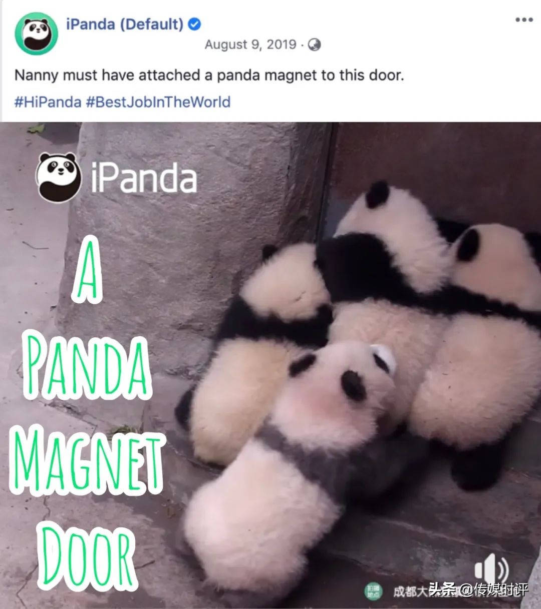 鐔婄尗棰戦亾娴峰浼犳挱,鐔婄尗绮惧噯鍙戝姏娴峰