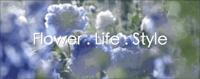 潘通色卡2020电子版色号对照表,潘通色卡历年流行色