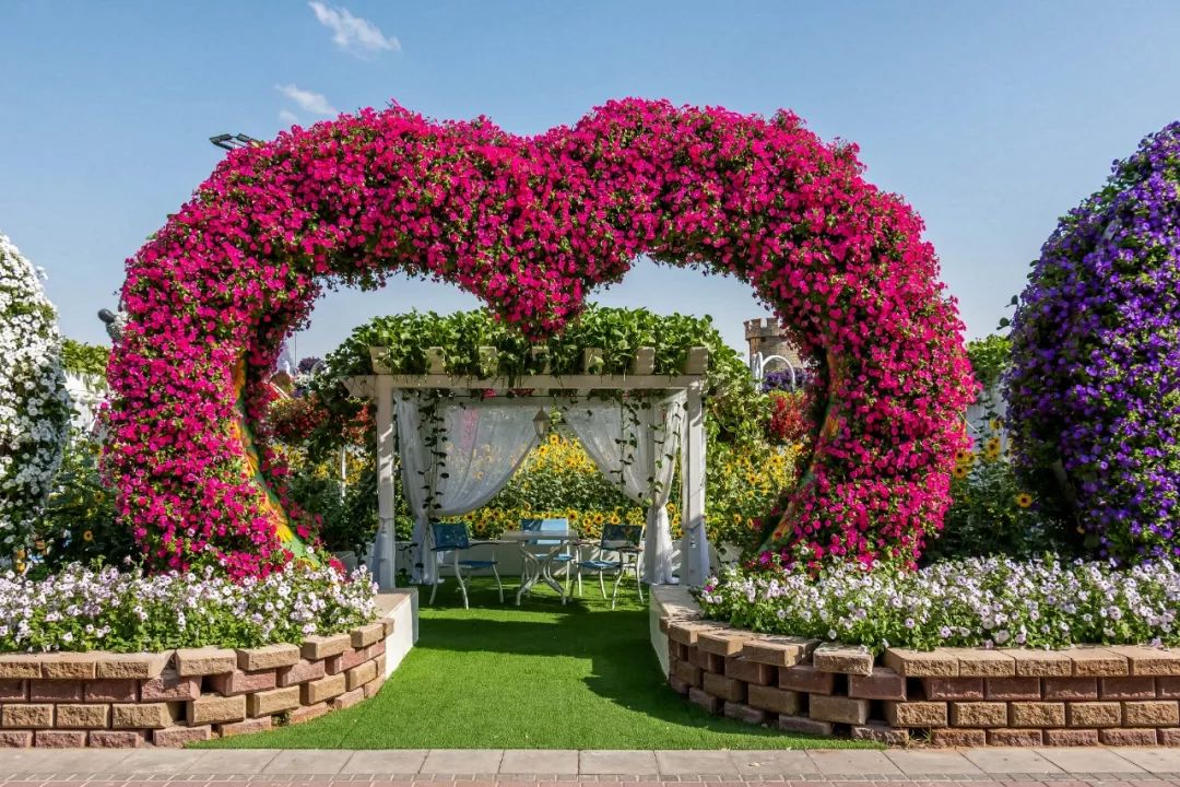 靠捡垃圾成了千亿富翁完整版,捡垃圾变成百万富翁