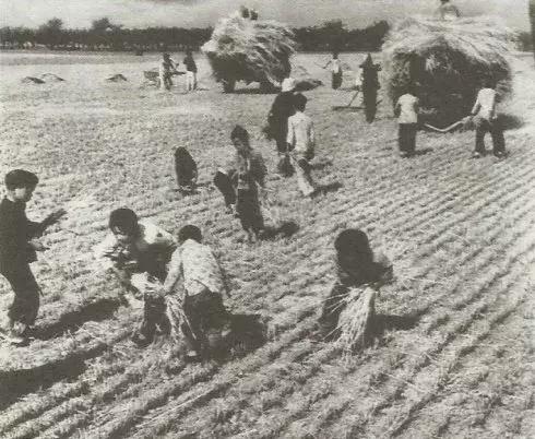 遭受父母欺压怎么办,被公婆骂是什么感觉