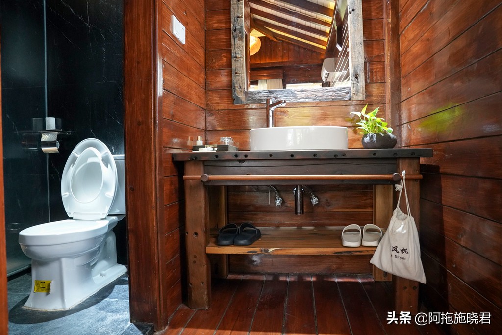 漫步其中尽享清新惬意,漫步海边椰林