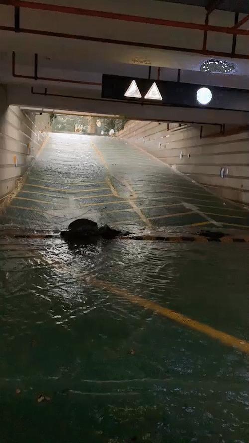 台风财产损失如何解决,台风天气车受损怎么办