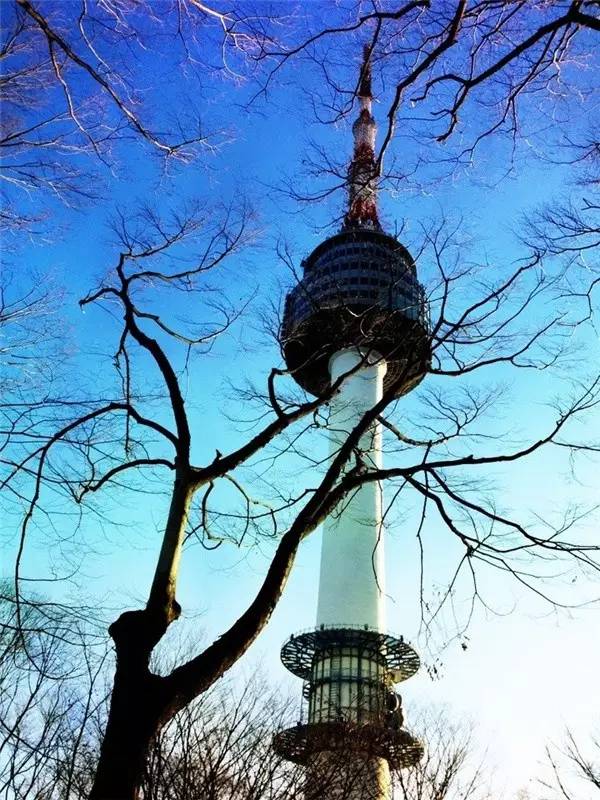 韩国首尔到济州岛攻略,韩国首尔美食攻略