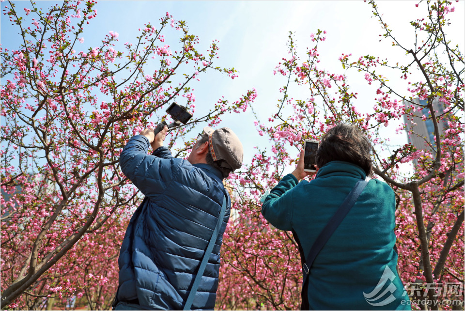 黄兴公园四季特色,黄兴公园美景
