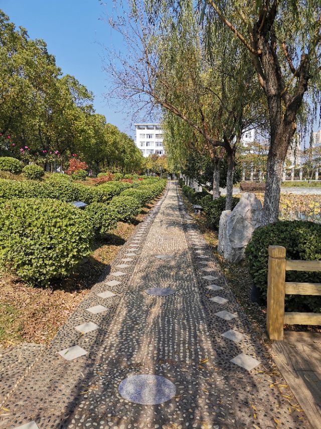 南阳理工学院,南阳理工学院全国真实排名