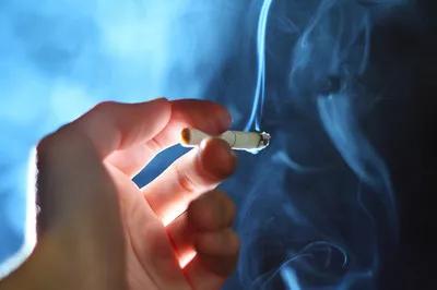 心血管动脉硬化应怎么调养,动脉硬化吃什么可以软化血管