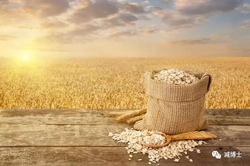 10种适合减肥的健康主食,减肥用南瓜代替主食能瘦吗