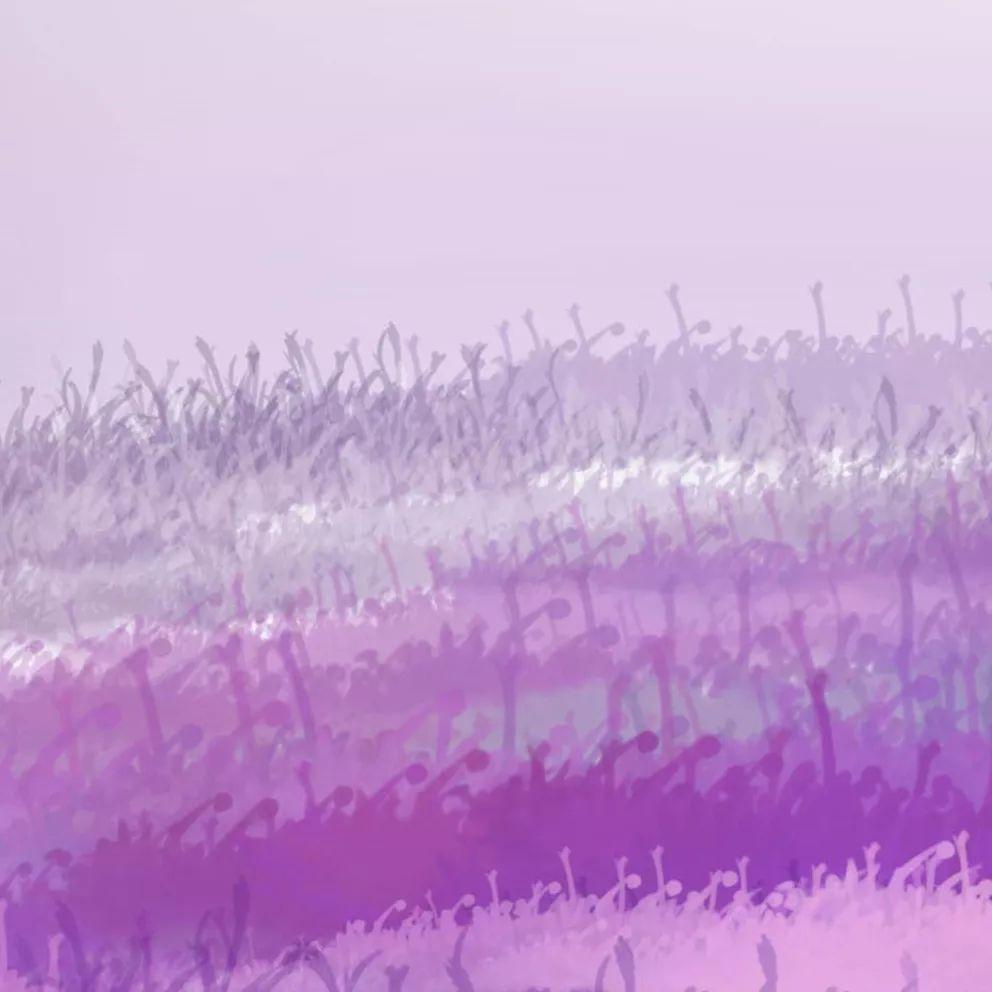 不能对这个问题进行讨论的情侣,永远都只能是表面幸福!