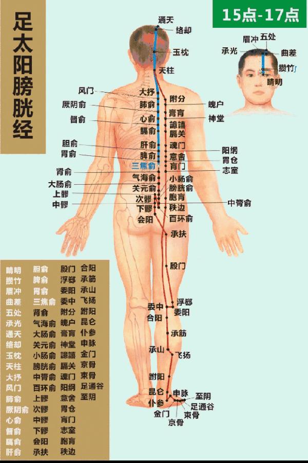 嗜睡是不是跟膀胱经不通有关,膀胱经犯困