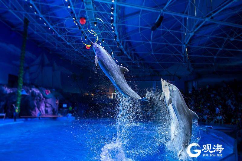 门票免费、特惠助力！重阳节带长辈逛青岛，这些景点一定适合