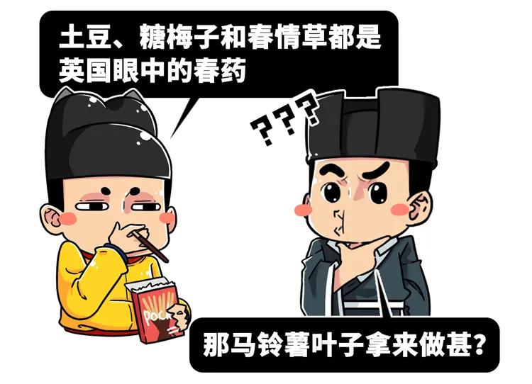 一个马铃薯能做什么,一个马铃薯可以做什么