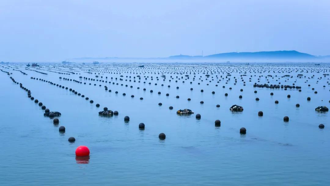 比三亚便宜的海边小城,比三亚便宜的海滨慢城