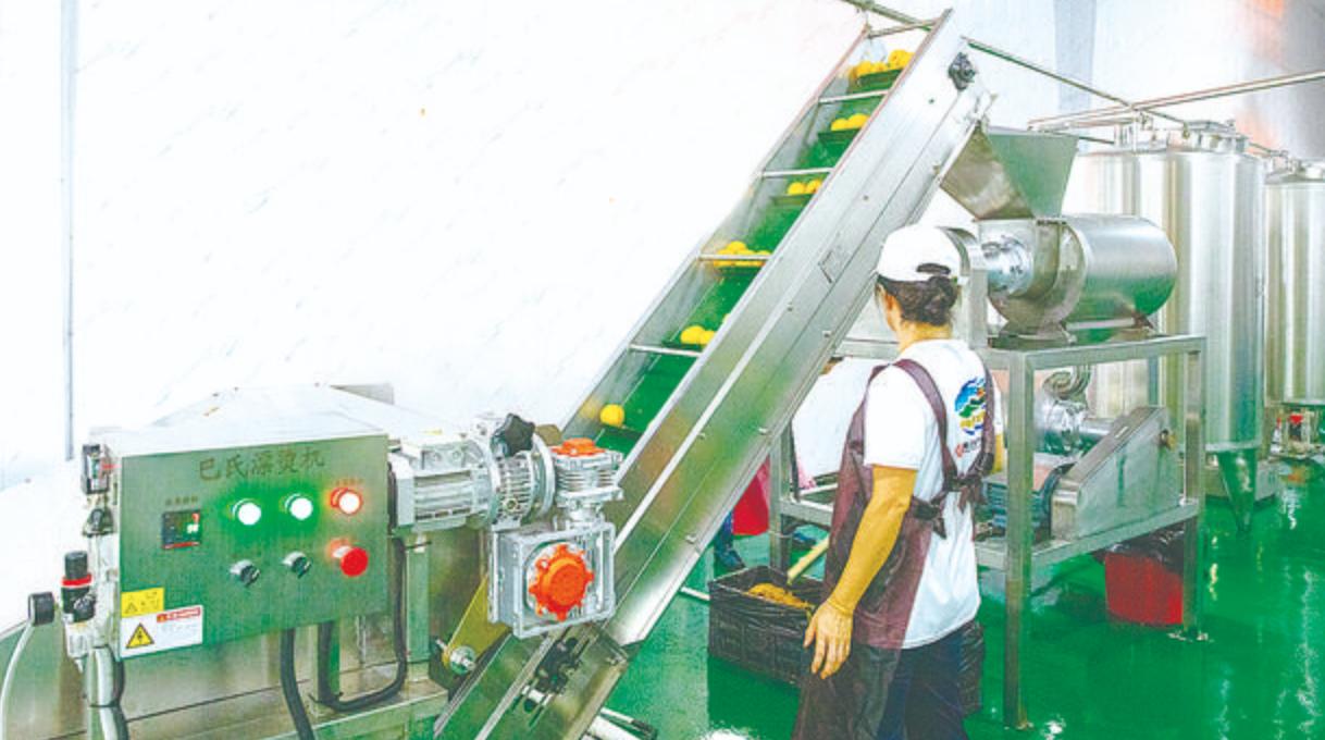 炎陵黄桃的特点,炎陵黄桃的资料