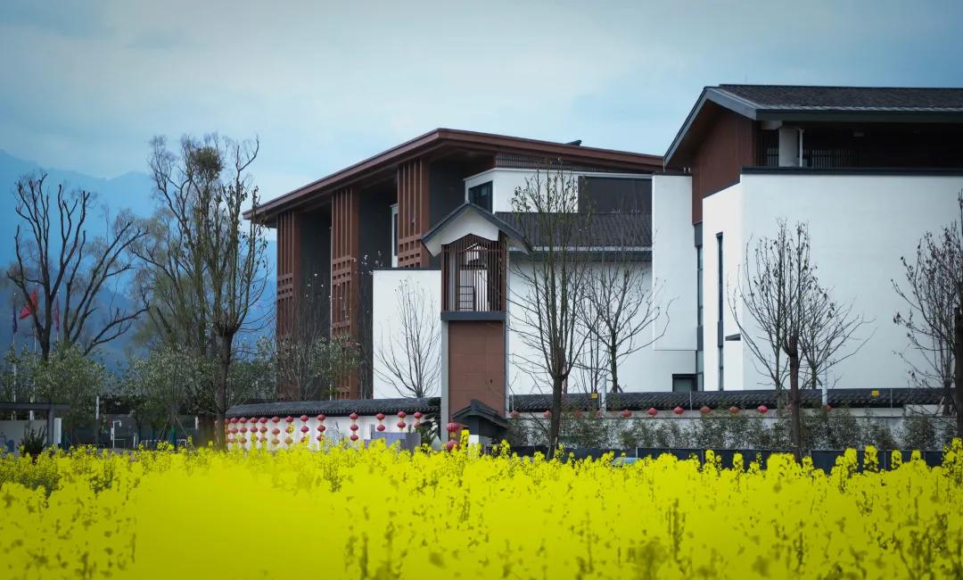 芬兰教育培训模式,芬兰教育如何走下神坛