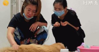 8.1国产良心，分分钟救你「狗命」