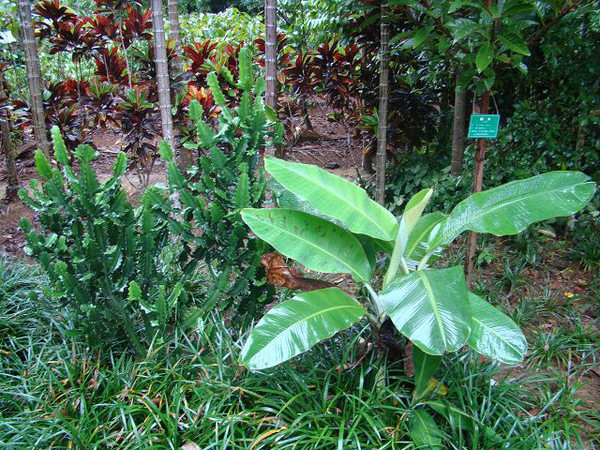 西安到三亚旅游攻略自由行费用,海南旅游攻略自由行三亚最佳路线