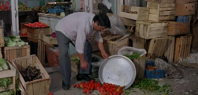 苦难教育视频,苦难教育愧疚教育