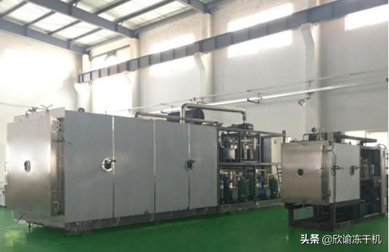 冻干无菌的方式以及西林瓶真空冷冻干燥技术研究