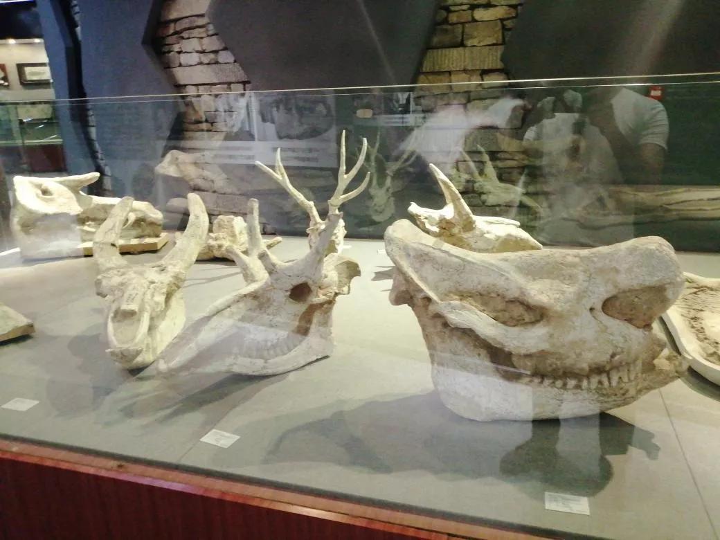 去天津蓟州旅游攻略,跟着书本去旅行蓟州