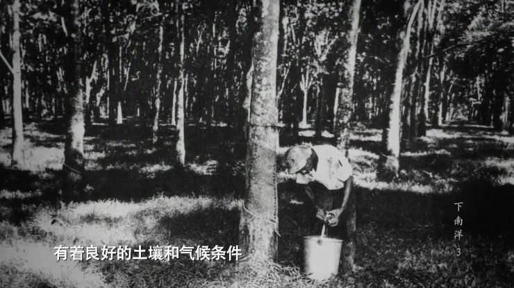 从猪仔打到凤凰游戏,从猪仔升级到主管