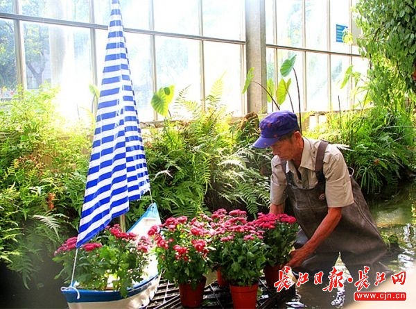 2022年切尔西花展室内篇,切尔西花展中国花卉