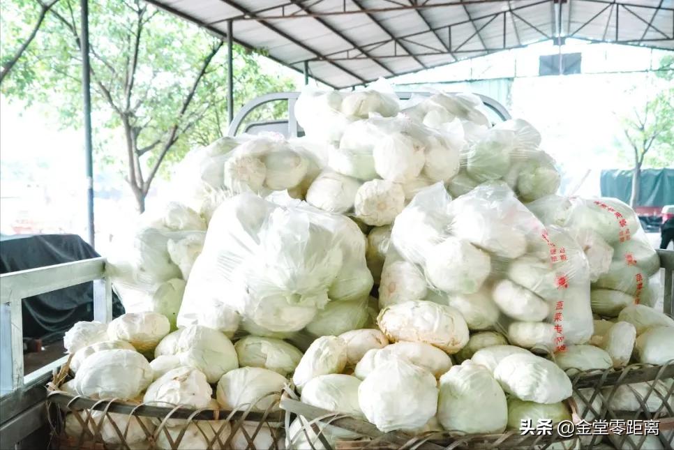 好久不见的农贸市场,三星农贸市场