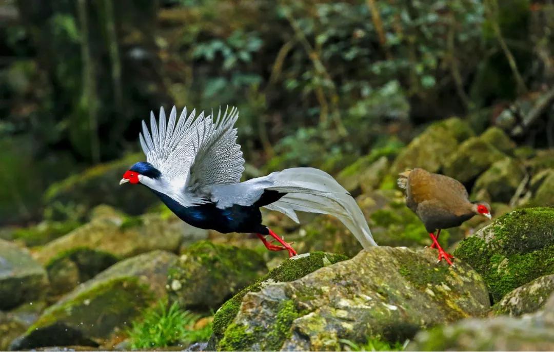 马云去的江西小镇,马云在浙江几个小镇