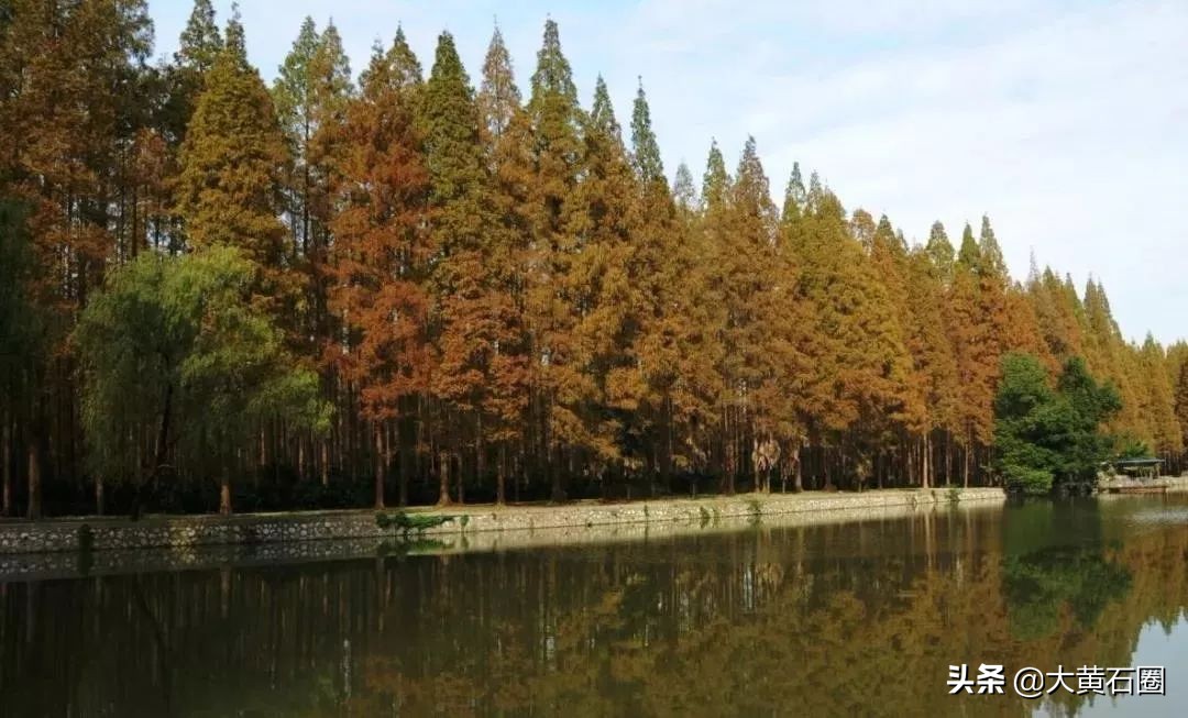 湖北有哪些县市风景最好,湖北有什么山水风景