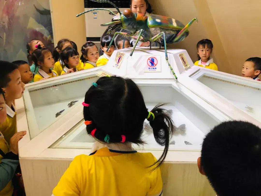 六一儿童节火车,六一快乐专列