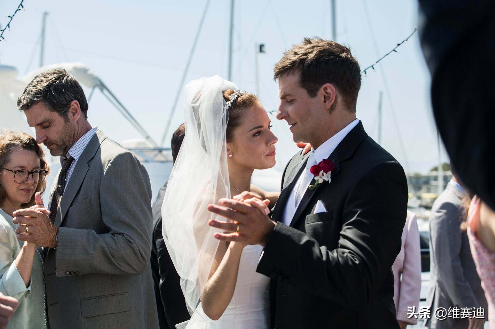 好莱坞高智商女明星,好莱坞低情商