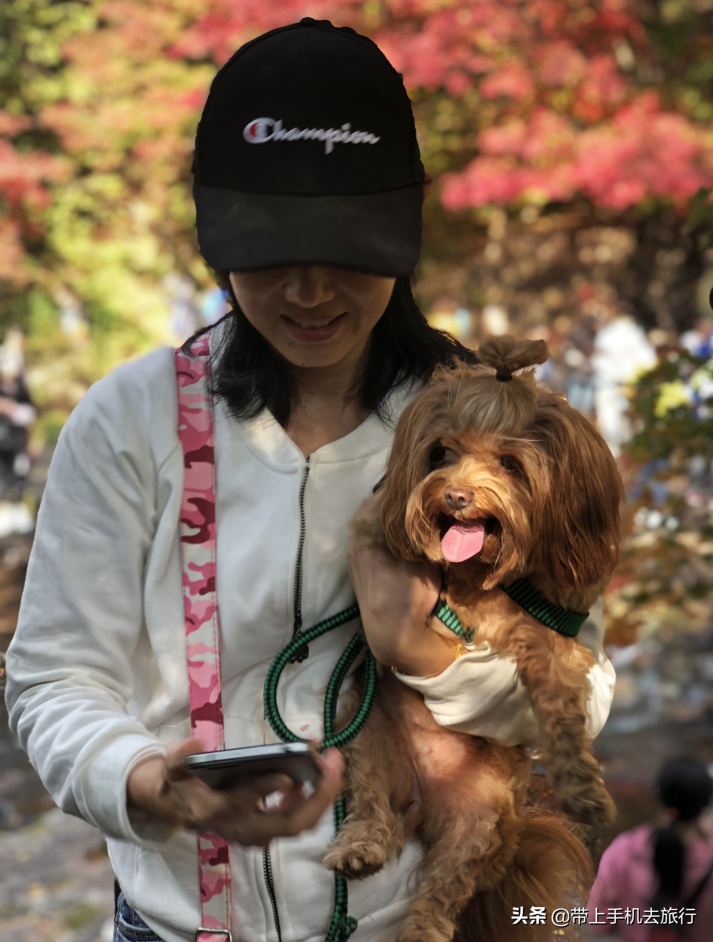 手机怎么拍出好看的画质,手机如何拍摄手机画面好看