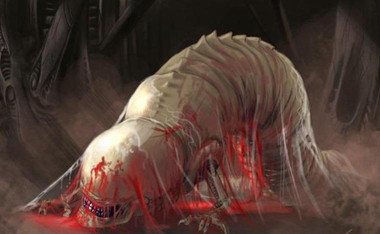 寮傚舰vs閾佽鎴樺＋娣卞害瑙ｈ,涔愰珮閾佽鎴樺＋vs寮傚舰