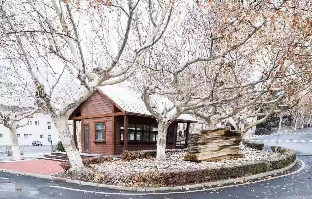 大连海事大学辽宁省大学排名,孔峰辽宁省教育厅大连海事大学