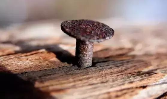 大红酸枝造假手法大曝光,福建大红酸枝如何作假