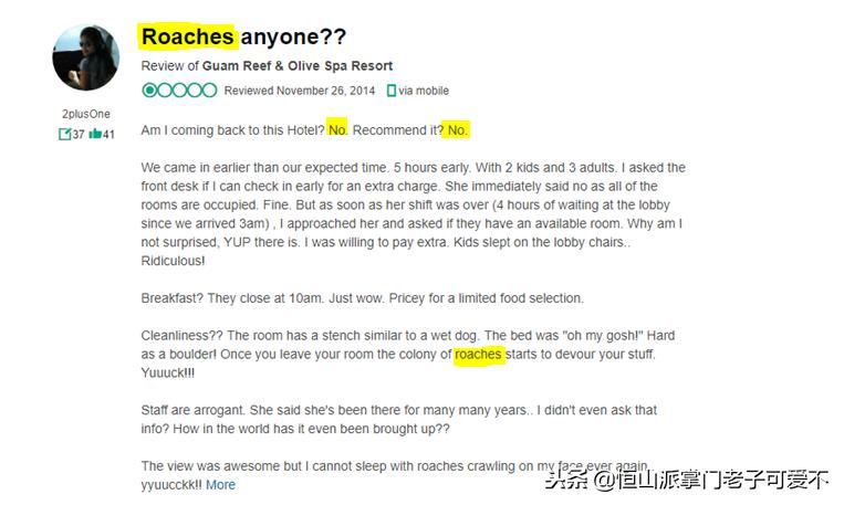 有虫子的旅游地,夏季旅游虫子少的地方