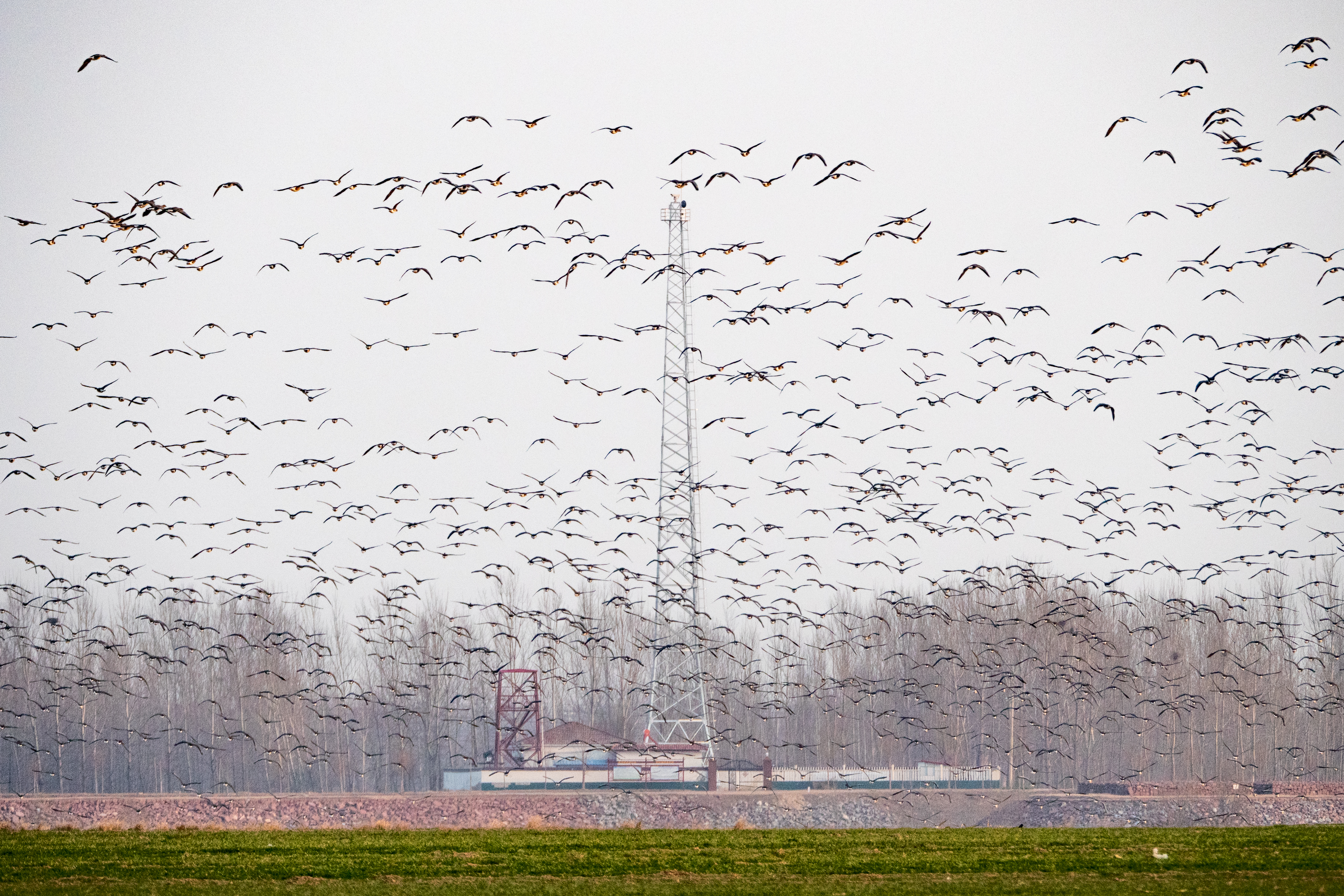 兰考新貌摄影集,兰考摄影团队