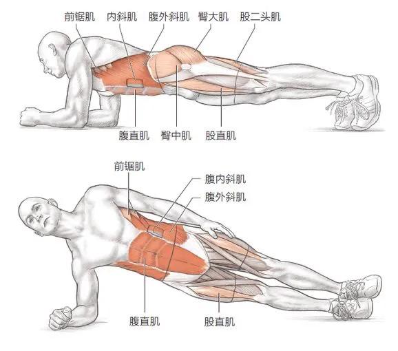 肌源性疼痛的症状,肌源性造成的腰疼