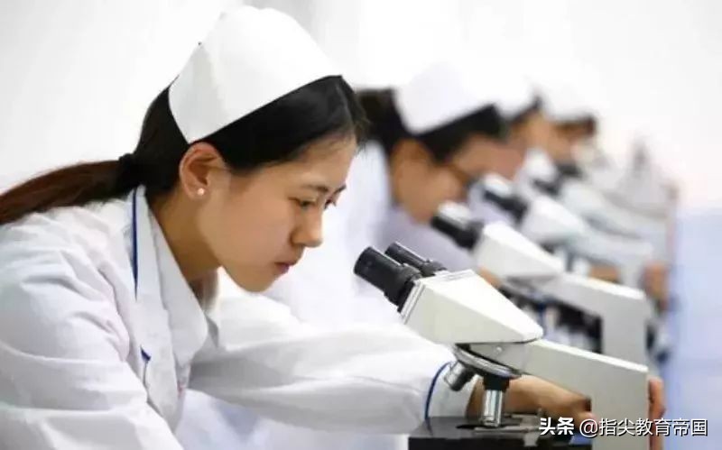 高考选哪些专业最好,高考选报什么专业最好