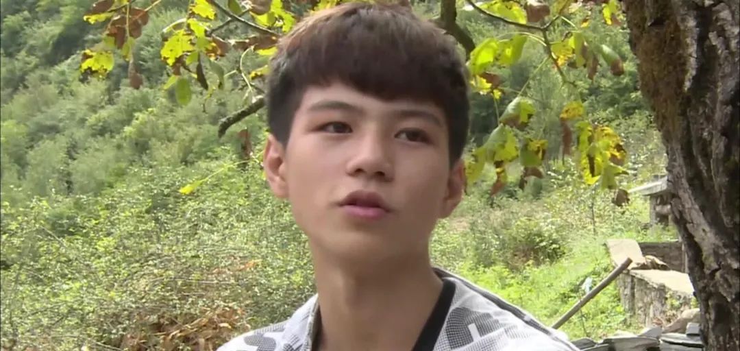 变形计杨桐网红现状,变形计戴眼镜杨桐现状