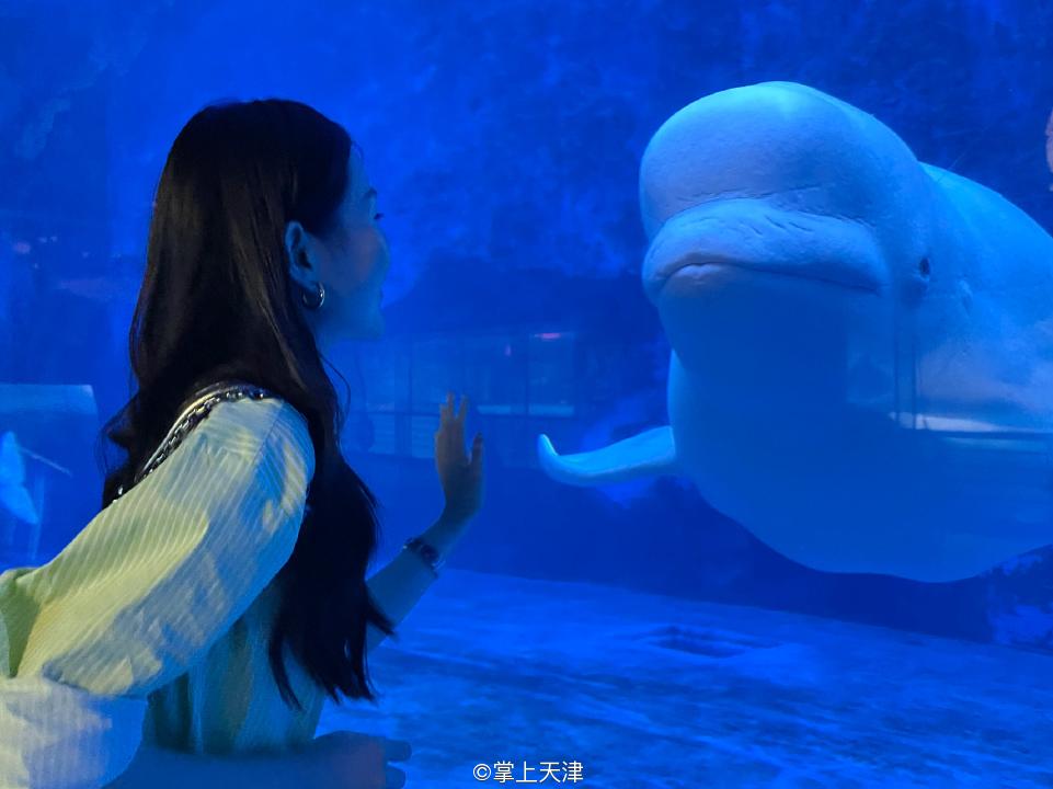 天津海昌极地海洋世界年票,天津海昌极地海洋99票价真实性