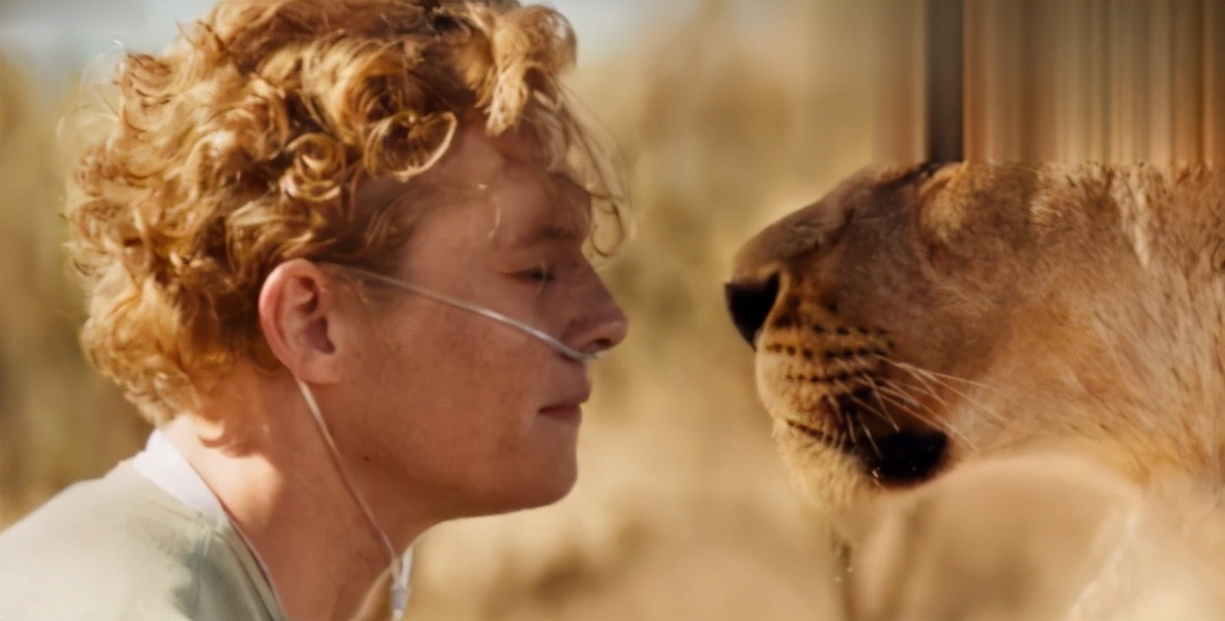 去非洲草原，要怎么做，才能不被狮子吃掉？