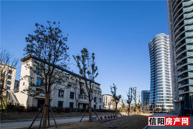 信阳南湾地标图,信阳南湾鸟瞰图